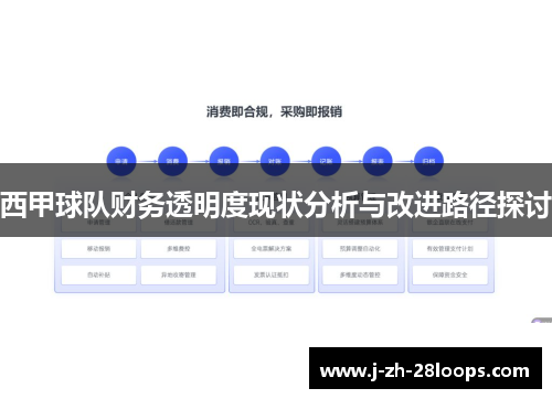 西甲球队财务透明度现状分析与改进路径探讨